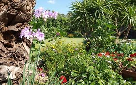 B&B Nel Giardino In Fiore