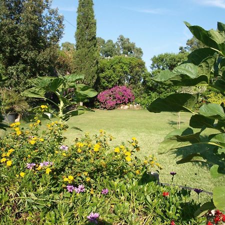 B&B Nel Giardino In Fiore Castiadas Esterno foto