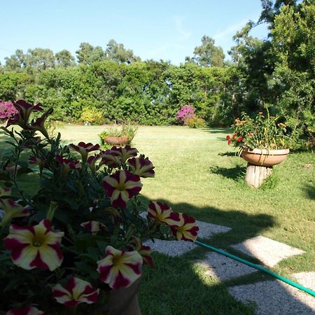 B&B Nel Giardino In Fiore Olia Speciosa Esterno foto