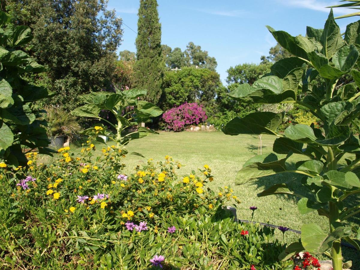 B&B Nel Giardino In Fiore Castiadas Esterno foto