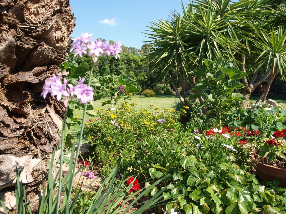 B&B Nel Giardino In Fiore Castiadas Esterno foto