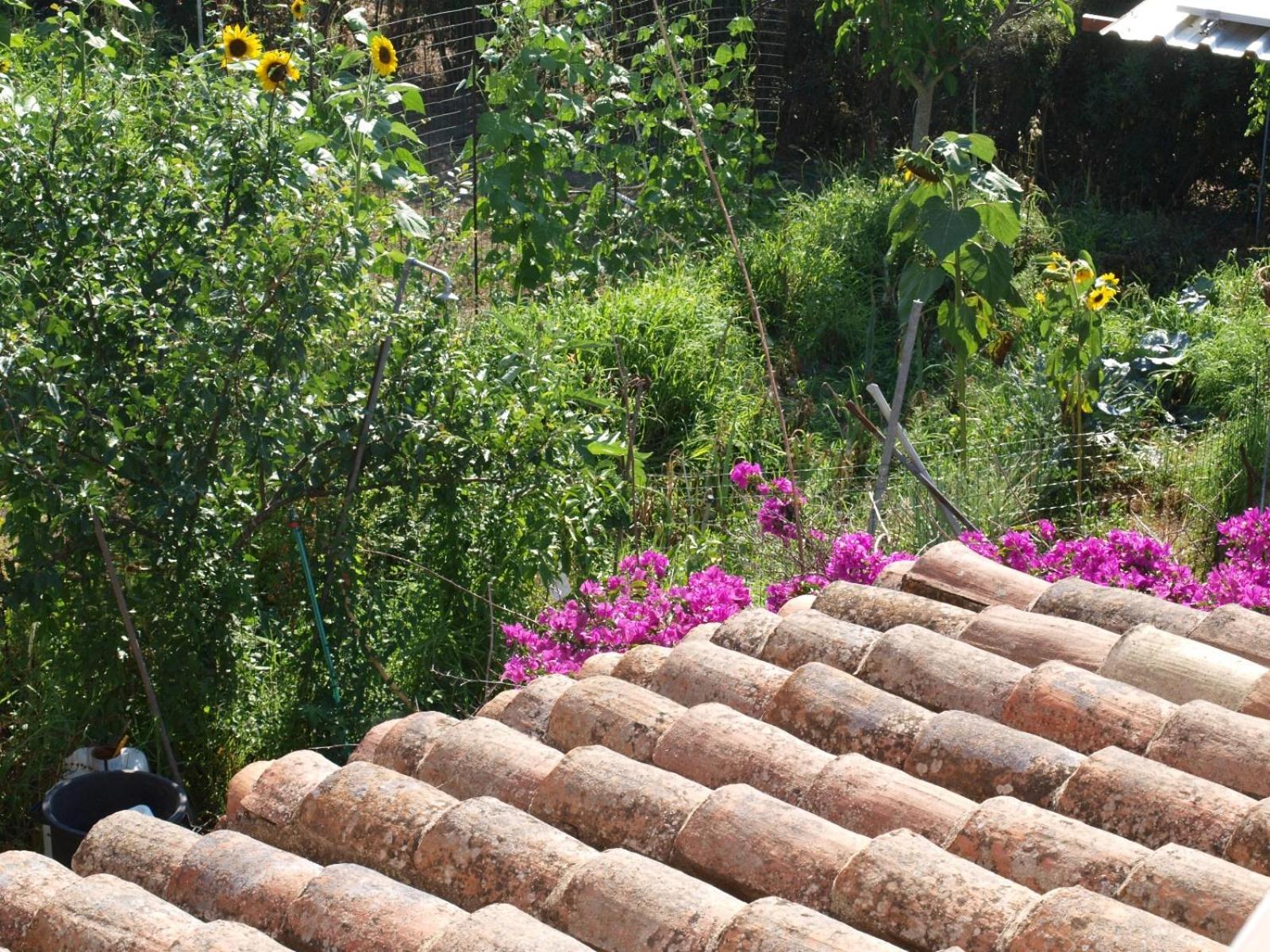 B&B Nel Giardino In Fiore Olia Speciosa Esterno foto